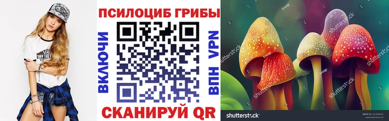 Псилоцибиновые грибы MAGIC MUSHROOMS  наркотики  Почеп 